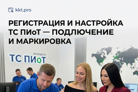 Для главного фото/баннера услуги: Регистрация и настройка ТС ПИоТ для кассового аппарата под ключ