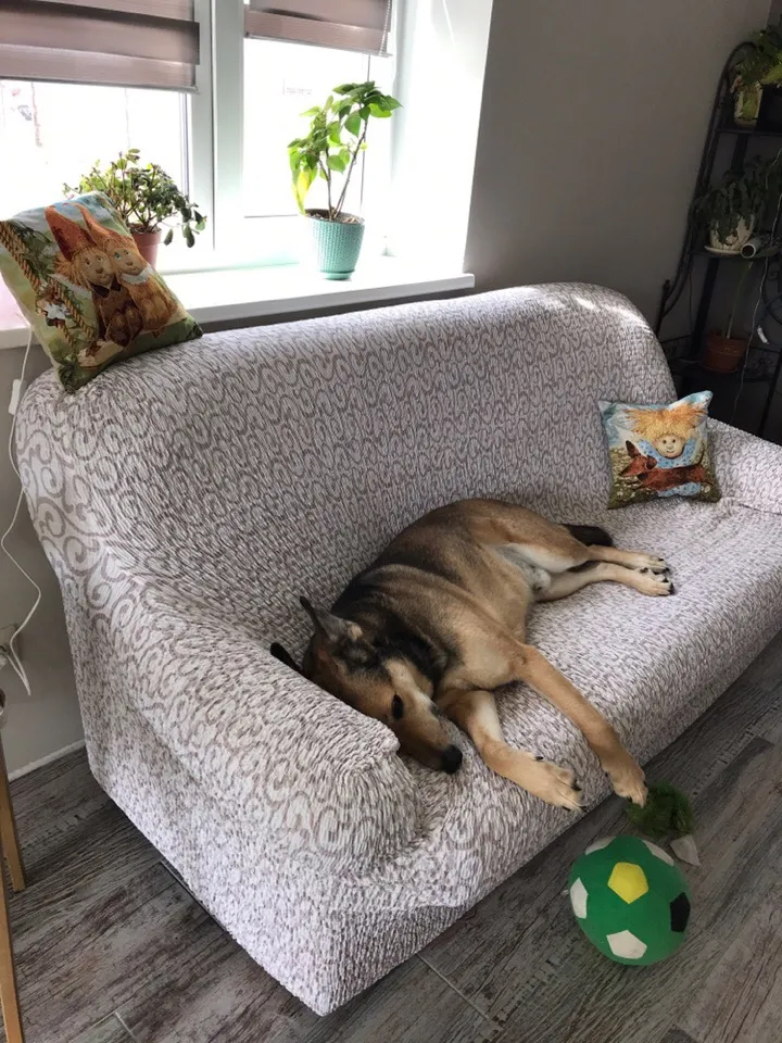 ЧЕХОЛ НА 3ХМ ДИВАН ТЕЛА БЕЗАРРО МОЛОЧНЫЙ