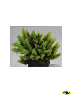 SH095G Коралл пластиковый зеленый 11,5*10*9см