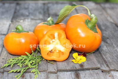 Перец сладкий Фон барон оранжевый, 10 шт.