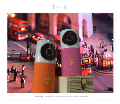 Видеоняня /WiFi видеокамера CleverDog Rose с DVR