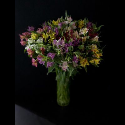 Альстромерия 51 шт