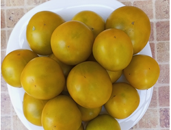 Томат Гном Лапа кенгуру зеленый (Dwarf Kangaroo Paw Green)