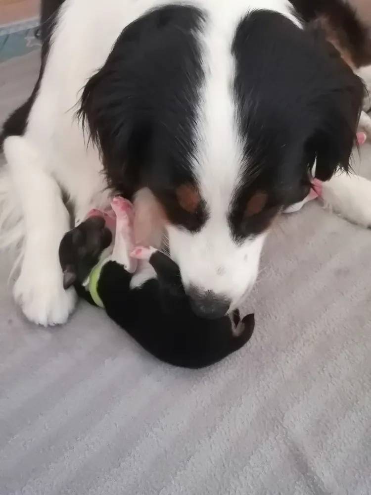 Мальчик