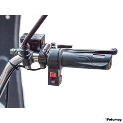 Грузовой электротрицикл Rutrike Глобус 1500 60V1000W серый