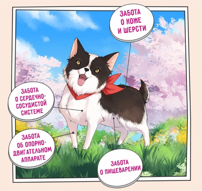 ZILLII Adult Dog Small Breed корм сухой для собак мелких пород  Индейка с Уткой 0.8 кг