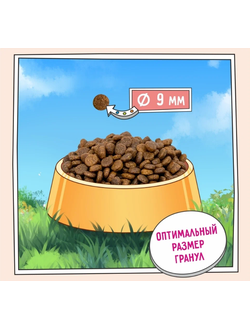 ZILLII Indoor Adult Cat корм сухой для взрослых кошек, живущих в помещении, Индейка с Ягненком 0.4 кг