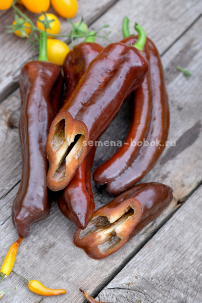 Перец сладкий Палермо Шоколадный, 10 шт