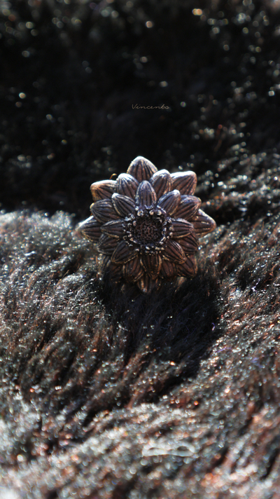 Волшебное кольцо "Кофейный Цветок. Тёплое утро"