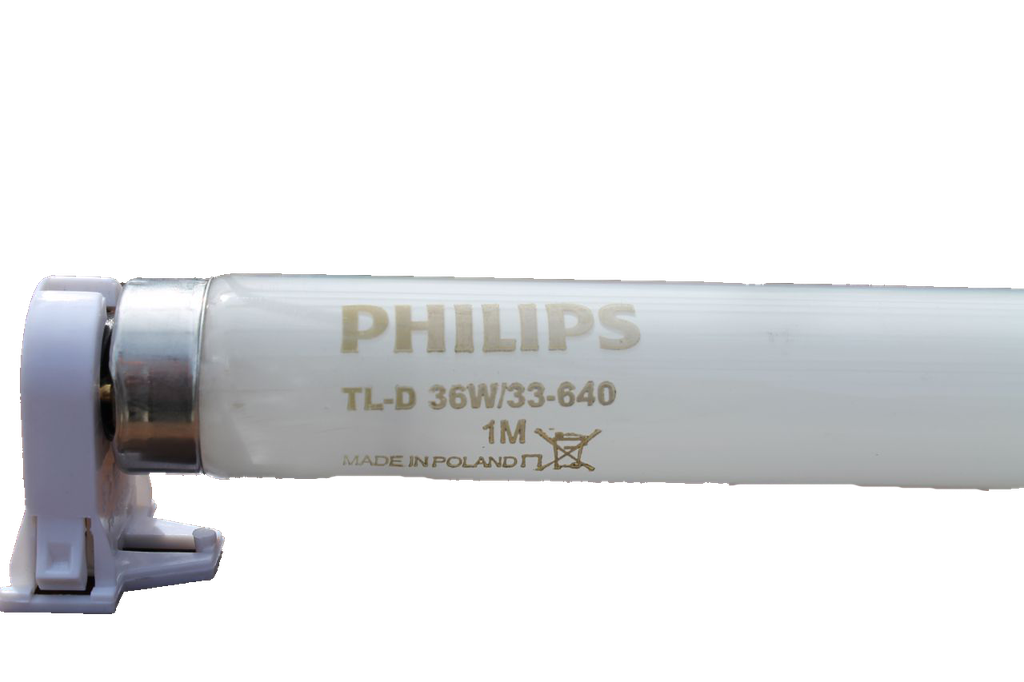 Линейная люминесцентная лампа Philips TL-D 36W/33-640 1SL/25 купить