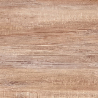 European Elm W008-1