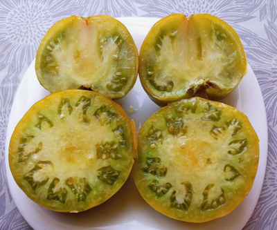 Томат Мшистый дуб (Mossy Oak)