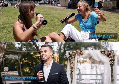 Профессиональный караоке-микрофон  L-899DSP  30w