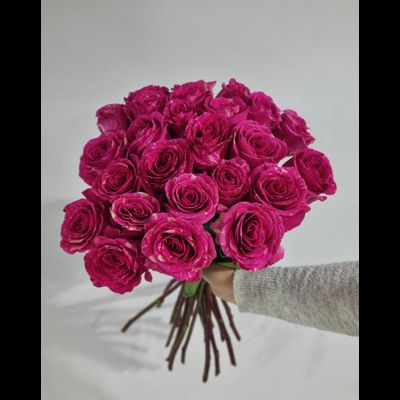 Роза Эквадор 60 см 25 шт