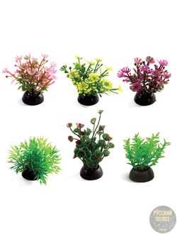 Растения разноцветные (набор 6шт), 50мм, Laguna