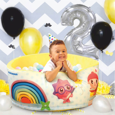 Сухой бассейн Romana Airpool "Профессии" ДМФ-МК-02.56.01 голубой купить в Воронеже