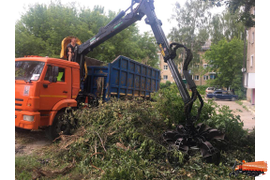 Вывоз веток с утилизацией