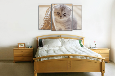 Модульная картина "Маленький в корзиночке"