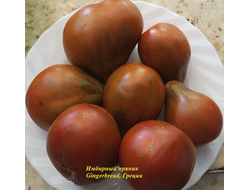 Томат Имбирный Пряник (Gingerbread, Греция)