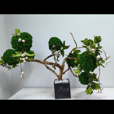 Живая эко-композиция 1006