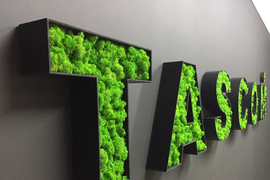 Вывески и предметы декора из стабилизированного мха