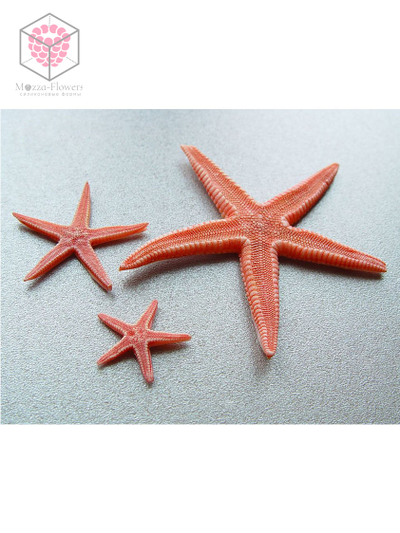 Силиконовый молд "Морские звезды"