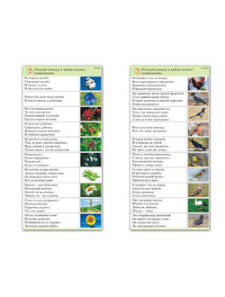 Комплект карточек (10) "Природа"