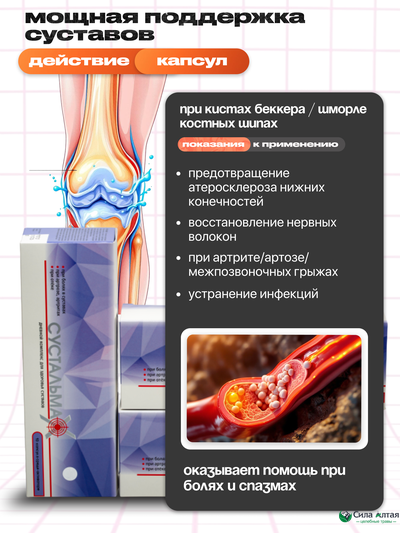 Сустальмакс дневной, капсулы в среде-активаторе