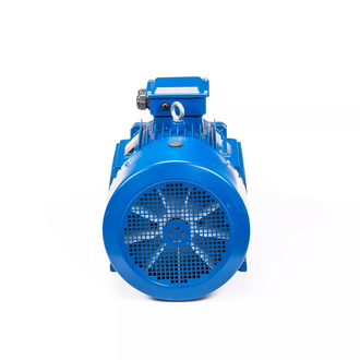 Электродвигатель 5АИ 200L6 (30 кВт) IM 1001