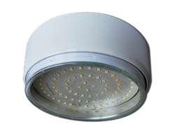 Светильник накладной Ecola GX70-G16 Белый 42x120 FW70FFECB