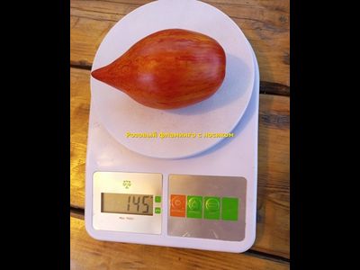 Томат Розовый фламинго полосатый