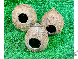 FF Cocos Cava 1/1SM - Укрытие декоративное из кожуры кокоса 6-10 см (целый)