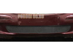 Защита радиатора Mercedec-Benz A-Klass II (W169) 2004-2007 black