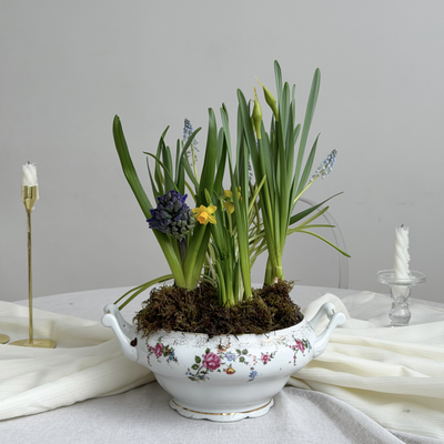 Супница с первоцветами #1