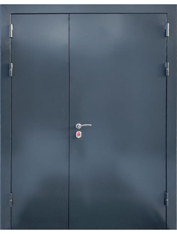 Техническая дверь 1,5 - створчатая (2100х1600 мм)