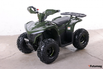 Квадроцикл GreenCamel Gobi K90 (20Ah 48V 750W R7 Дифф) LUX Bluetooth Темно-зеленый