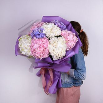 Микс из 7 гортензий