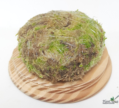 Кочка питательная Ваби-Куса