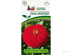 Партнер Цинния F1 НЬЮ-ЙОРКЕР / георгиновидная ^(4шт) 2-ной пак