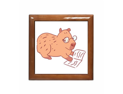 Шкатулки Капибара, Kapibara-san