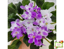 LV-Кирюша (Л. Шевелева) 2022 г. трейлер (пасынок посажен 15.08.25)