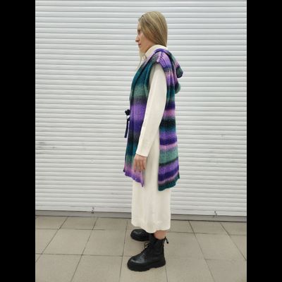 Жилет с капюшоном Vizio 1056 MS разноцветный