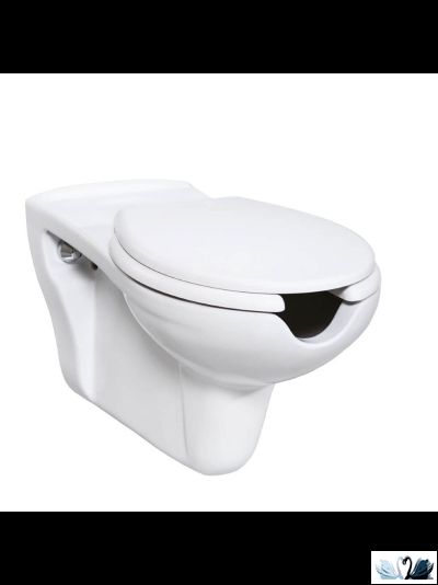 Унитаз Creavit BD320-11CB00E-0000 подвесной, для инвалидов, белый купить в магазине Маруся по акции