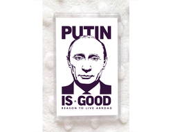 Магнит с Путиным №8