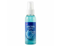 Ароматизатор спрей "Ледяная свежесть" 100 мл. ARNEZI A1509038