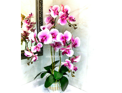 Композиция орхидея ярко розовая из трёх веток в кашпо с позолотой № ОР008