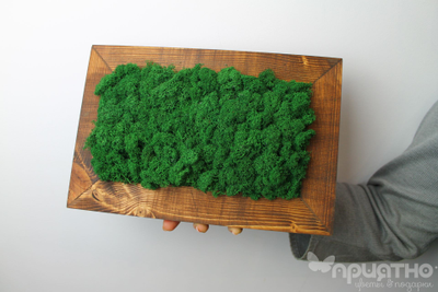 ЖИВАЯ ЭКО-КАРТИНА 1046