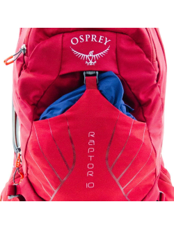 Рюкзак Osprey Raptor 10 Cedar Green