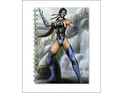 Тетрадь Мортал Комбат, Mortal Kombat №32