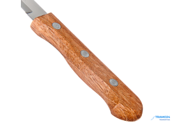 КУХОННЫЙ НОЖ 10 СМ TRAMONTINA DYNAMIC, 22320/204